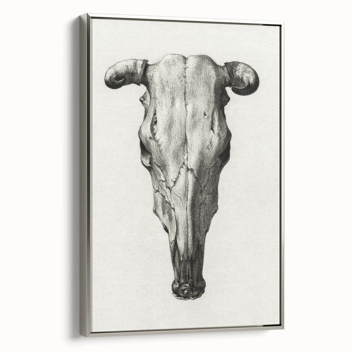 Gothic Artworks - Vintage Skull Illustration Medieval Gothic Canvas Print
