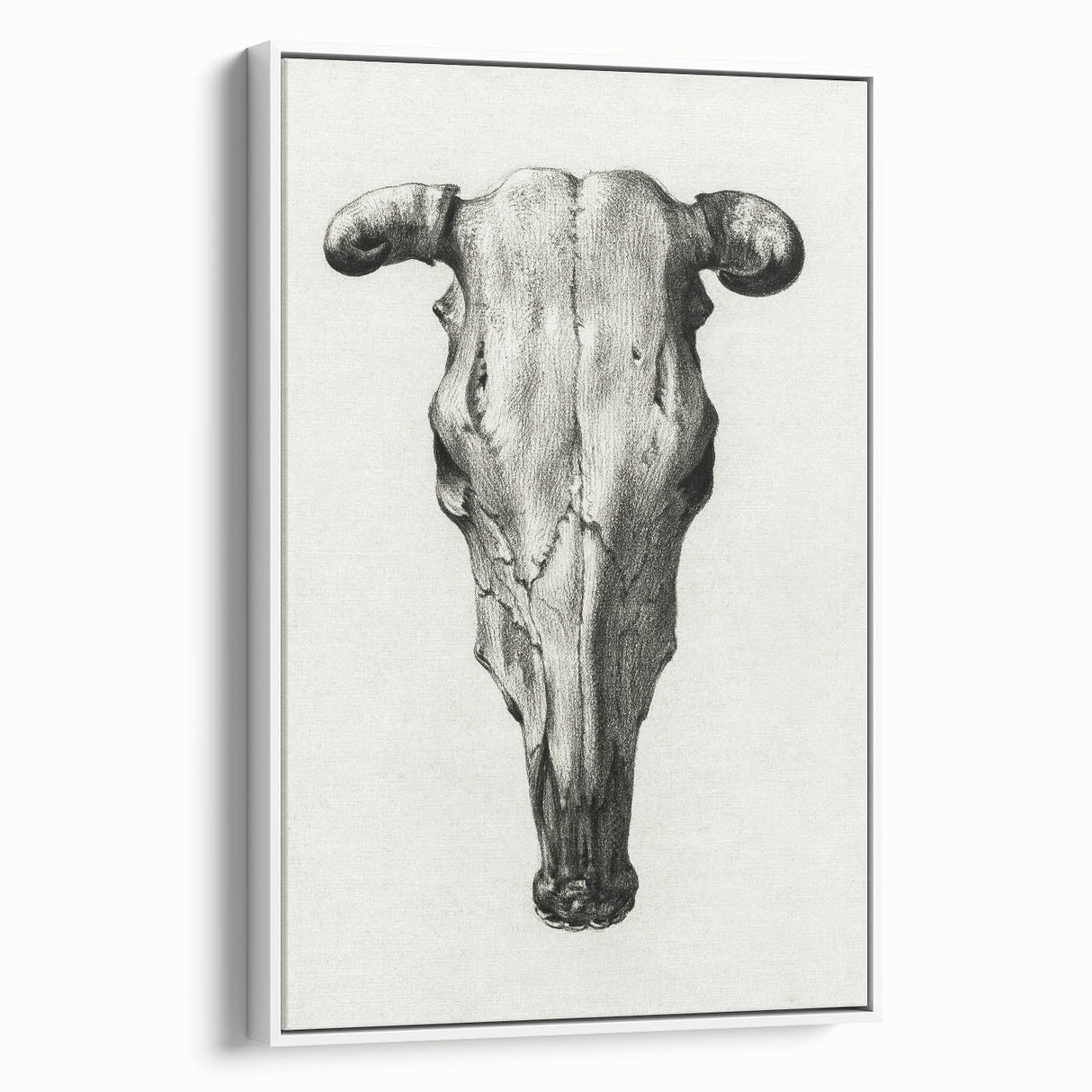 Gothic Artworks - Vintage Skull Illustration Medieval Gothic Canvas Print