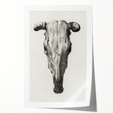 Gothic Artworks - Vintage Skull Illustration Medieval Gothic Canvas Print