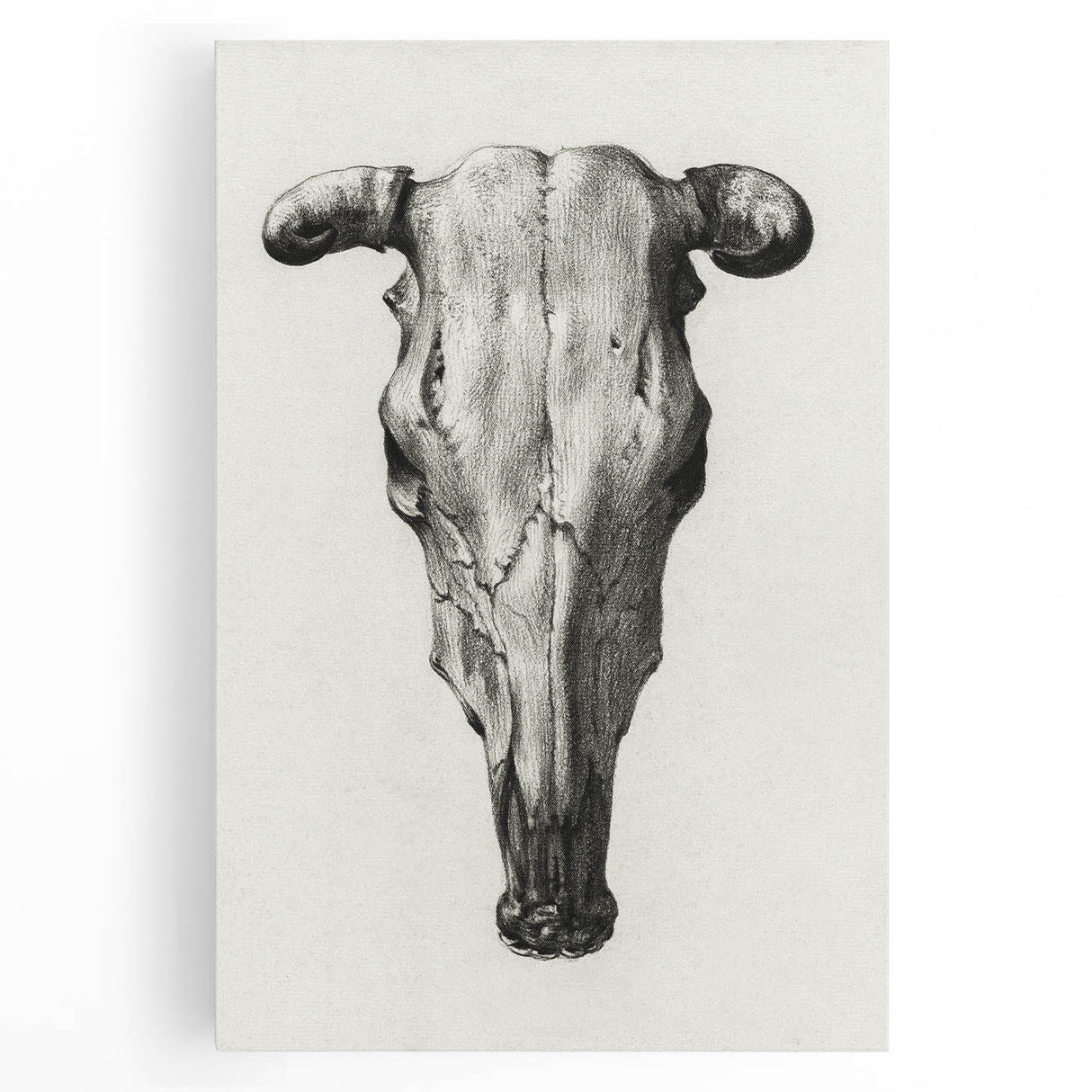 Gothic Artworks - Vintage Skull Illustration Medieval Gothic Canvas Print