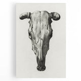 Gothic Artworks - Vintage Skull Illustration Medieval Gothic Canvas Print