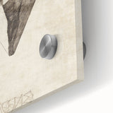 Gothic Artworks - Arachne Illustration Dark Medieval Gothic Canvas Print