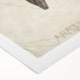 Gothic Artworks - Arachne Illustration Dark Medieval Gothic Canvas Print