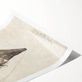 Gothic Artworks - Arachne Illustration Dark Medieval Gothic Canvas Print