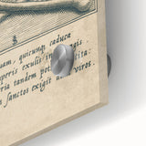 Vintage Gothic Prints - Skull and Crossbones Medieval Gothic Canvas Art