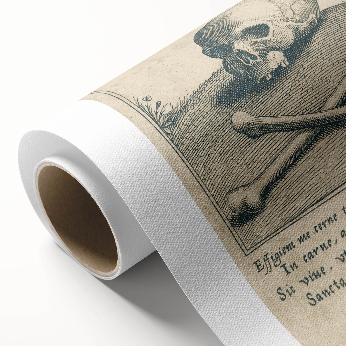 Vintage Gothic Prints - Skull and Crossbones Medieval Gothic Canvas Art