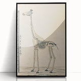 Medieval Gothic Canvas - Giraffe Skeleton Illustration Gothic Wall Art