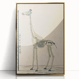 Medieval Gothic Canvas - Giraffe Skeleton Illustration Gothic Wall Art