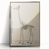 Medieval Gothic Canvas - Giraffe Skeleton Illustration Gothic Wall Art