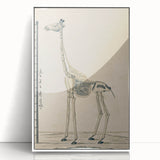 Medieval Gothic Canvas - Giraffe Skeleton Illustration Gothic Wall Art