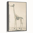 Medieval Gothic Canvas - Giraffe Skeleton Illustration Gothic Wall Art