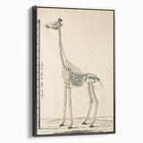 Medieval Gothic Canvas - Giraffe Skeleton Illustration Gothic Wall Art