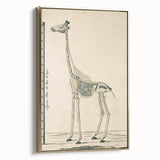 Medieval Gothic Canvas - Giraffe Skeleton Illustration Gothic Wall Art