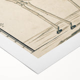 Medieval Gothic Canvas - Giraffe Skeleton Illustration Gothic Wall Art