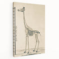 Medieval Gothic Canvas - Giraffe Skeleton Illustration Gothic Wall Art