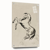 Dark Decor Style - Abstract Horse Gothic Medieval Canvas Wall Art