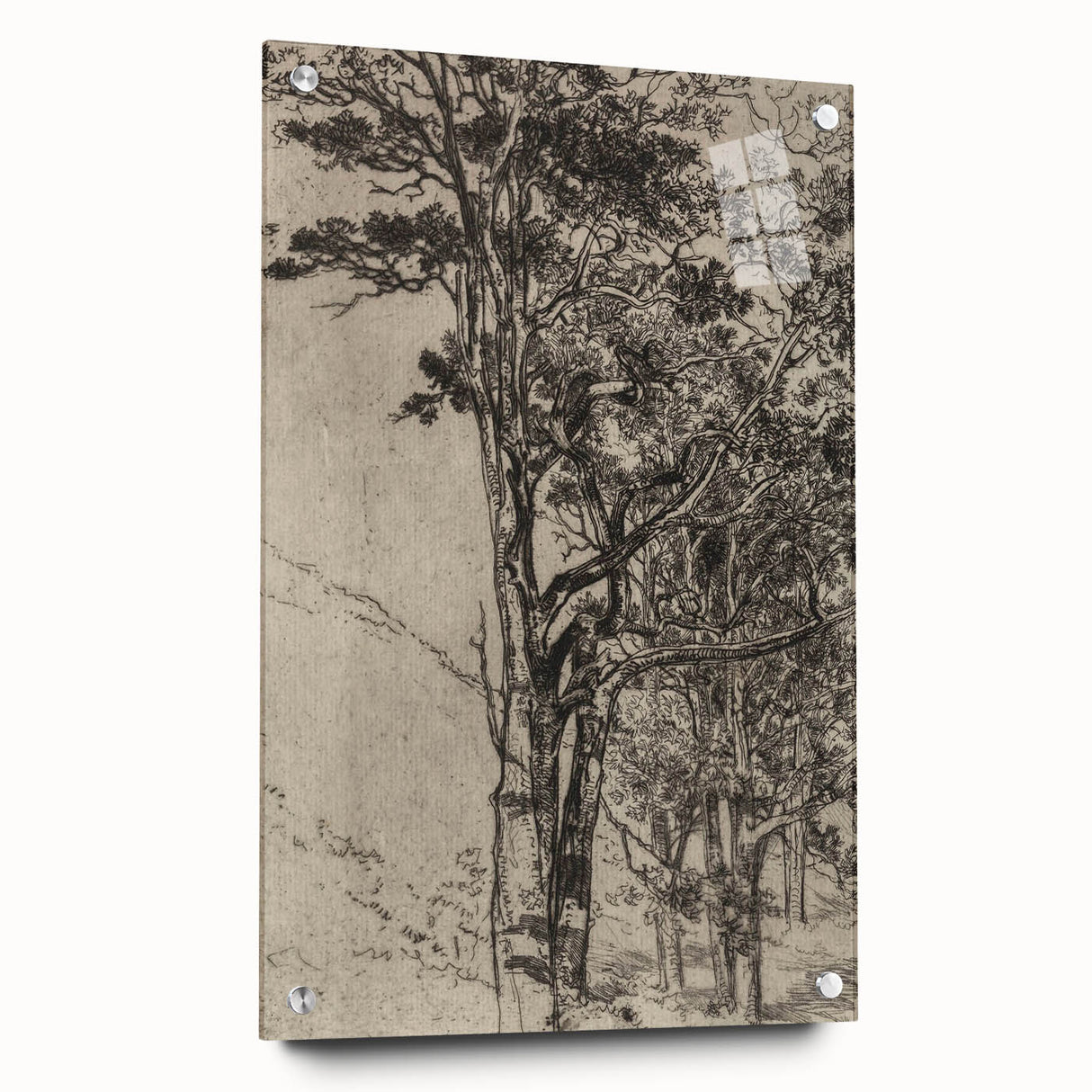 Forest Silhouette Etching - Mysterious Gothic Nature Wall Art Decor