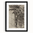 Forest Silhouette Etching - Mysterious Gothic Nature Wall Art Decor