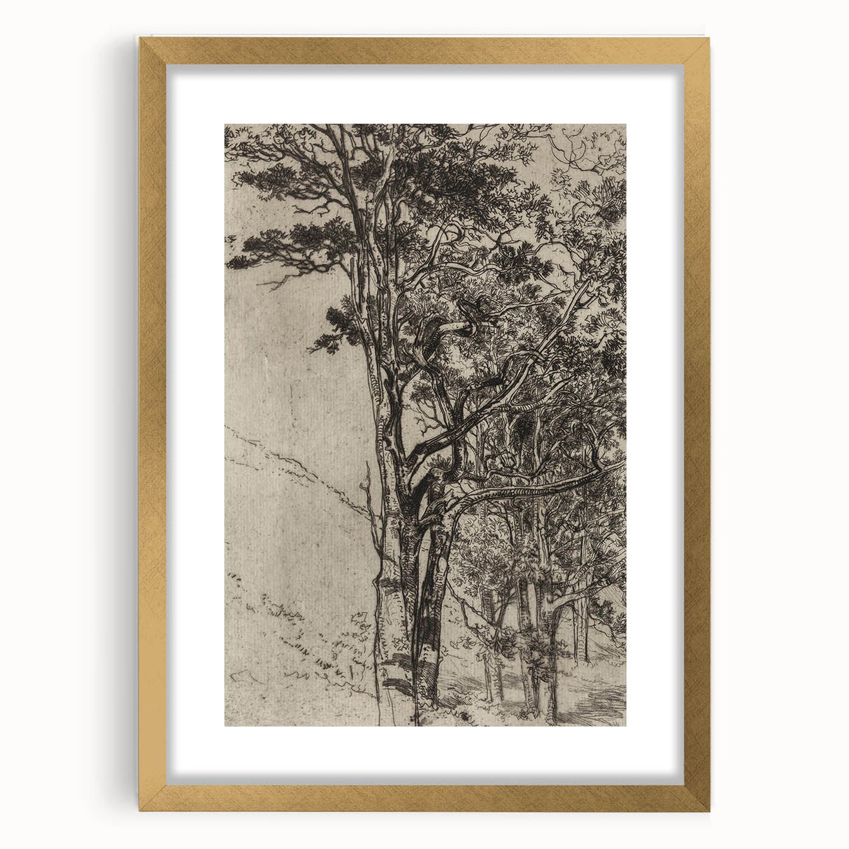 Forest Silhouette Etching - Mysterious Gothic Nature Wall Art Decor