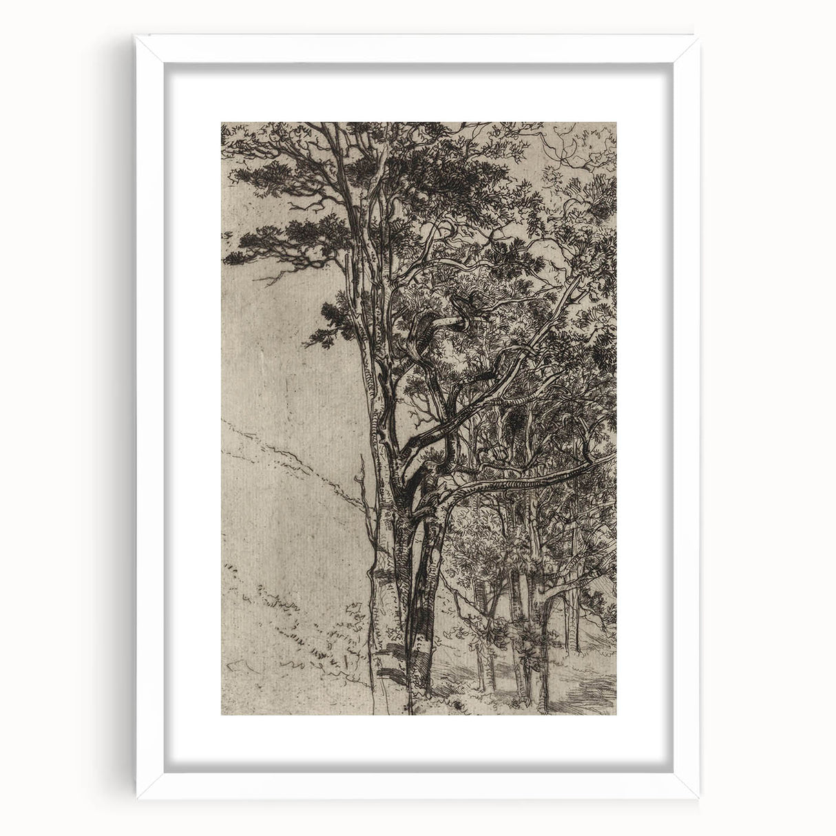 Forest Silhouette Etching - Mysterious Gothic Nature Wall Art Decor