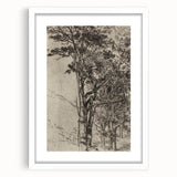Forest Silhouette Etching - Mysterious Gothic Nature Wall Art Decor