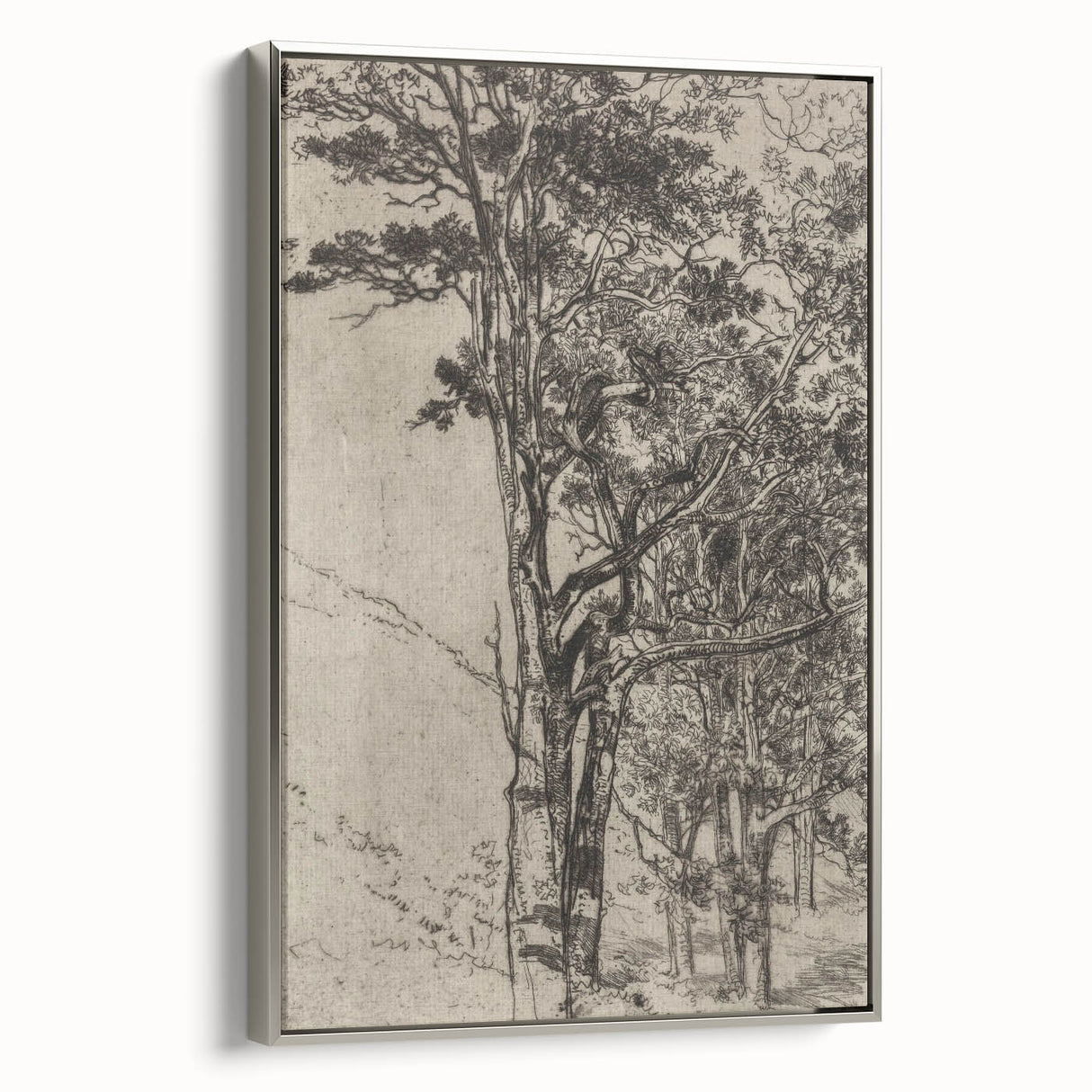 Forest Silhouette Etching - Mysterious Gothic Nature Wall Art Decor