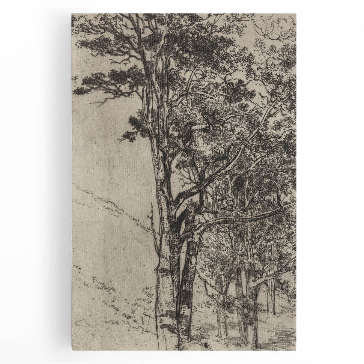 Forest Silhouette Etching - Mysterious Gothic Nature Wall Art Decor