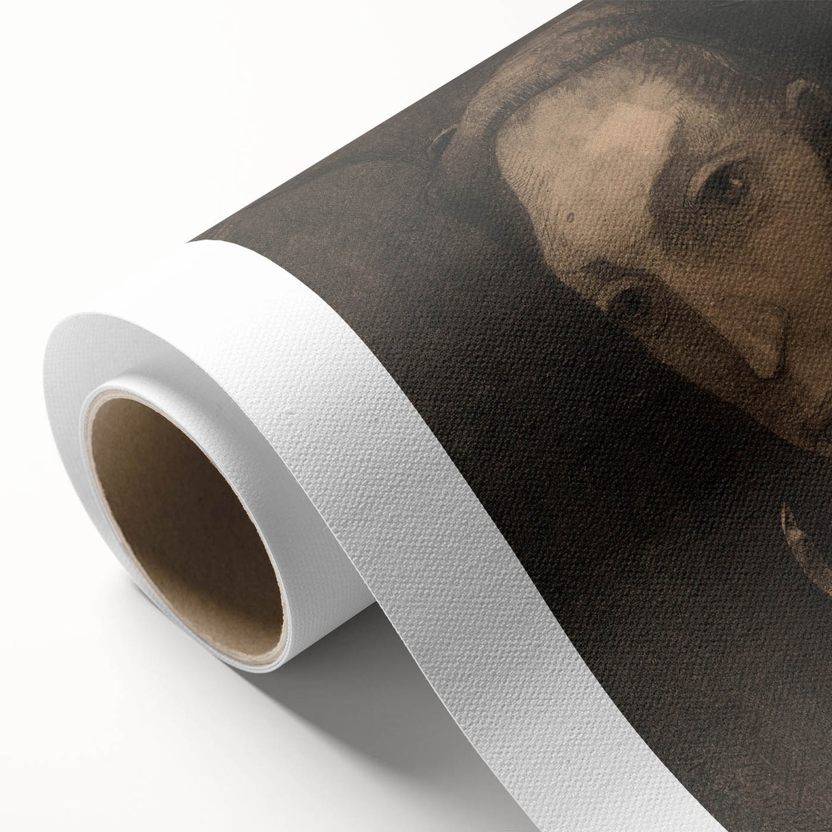Gothic Artworks: Mysterious Portrait of a Medieval Figure in Dark Tones