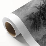 Angels Ascending Print - Mystical Gothic Celestial Wall Art Decor