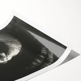 Gothic Wall Art: Dark Ram Skull in Vintage Gothic Print Design