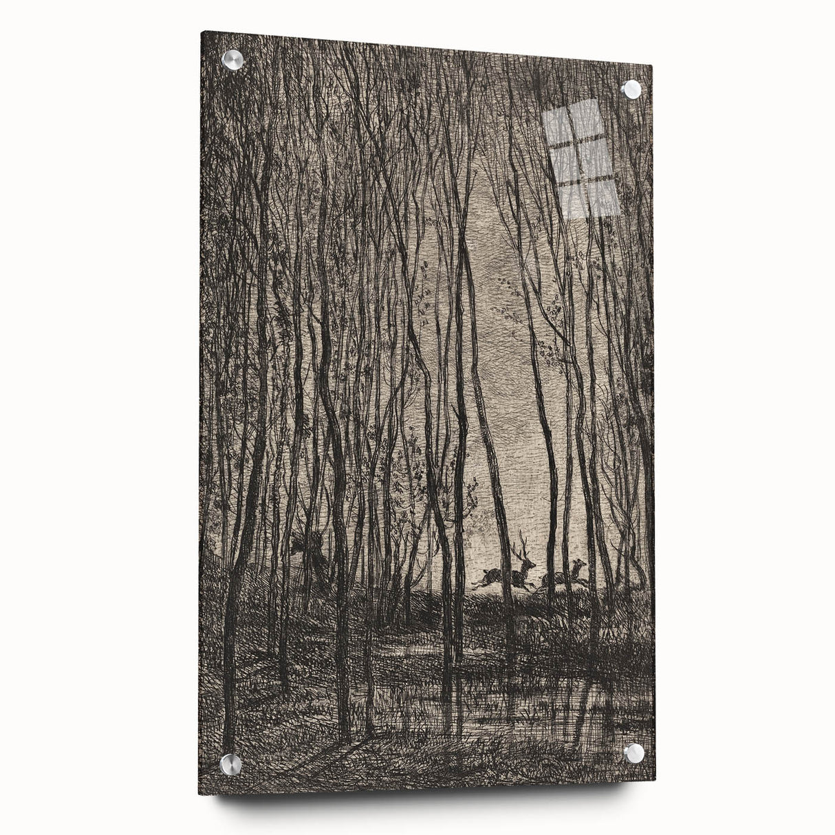 Enchanted Forest Scene - Mysterious Gothic Woodland Art Print