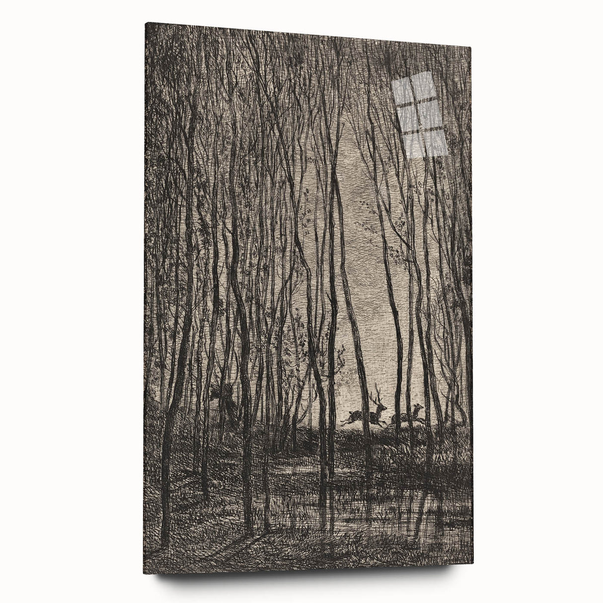 Enchanted Forest Scene - Mysterious Gothic Woodland Art Print