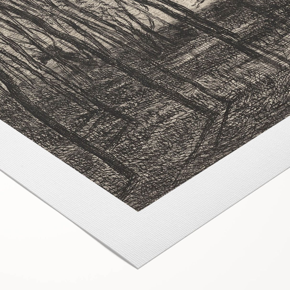 Enchanted Forest Scene - Mysterious Gothic Woodland Art Print