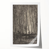 Enchanted Forest Scene - Mysterious Gothic Woodland Art Print