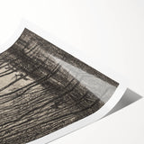 Enchanted Forest Scene - Mysterious Gothic Woodland Art Print