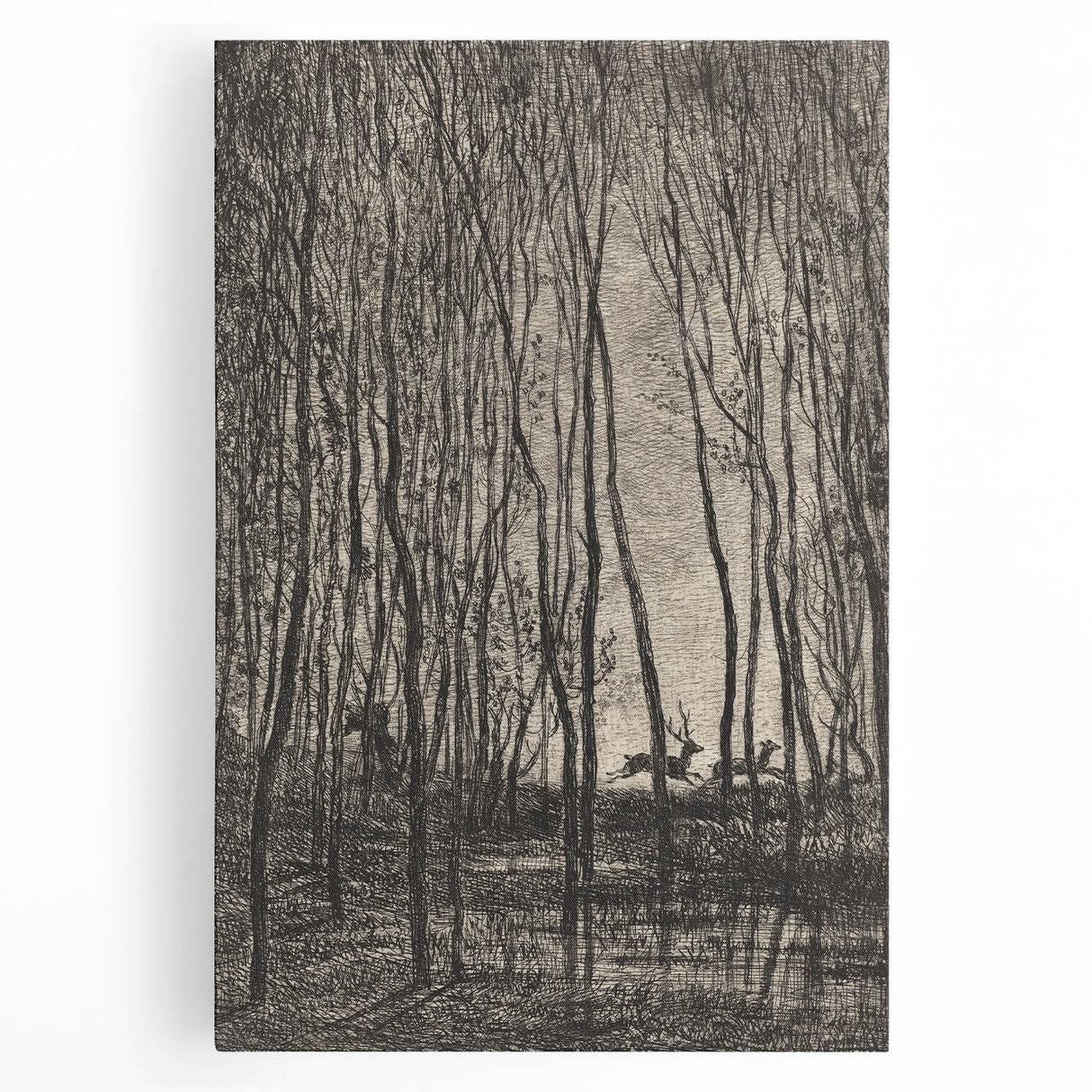 Enchanted Forest Scene - Mysterious Gothic Woodland Art Print