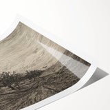 Gothic Artworks - Crows in Barren Landscape for Dark Decor Style