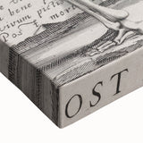 Skeleton with Hourglass - Gothic Memento Mori Art Print