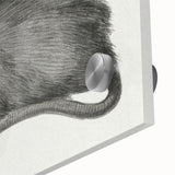 Gothic Wall Art - Vintage Mouse Illustration on Medieval Gothic Canvas