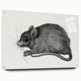 Gothic Wall Art - Vintage Mouse Illustration on Medieval Gothic Canvas