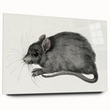 Gothic Wall Art - Vintage Mouse Illustration on Medieval Gothic Canvas