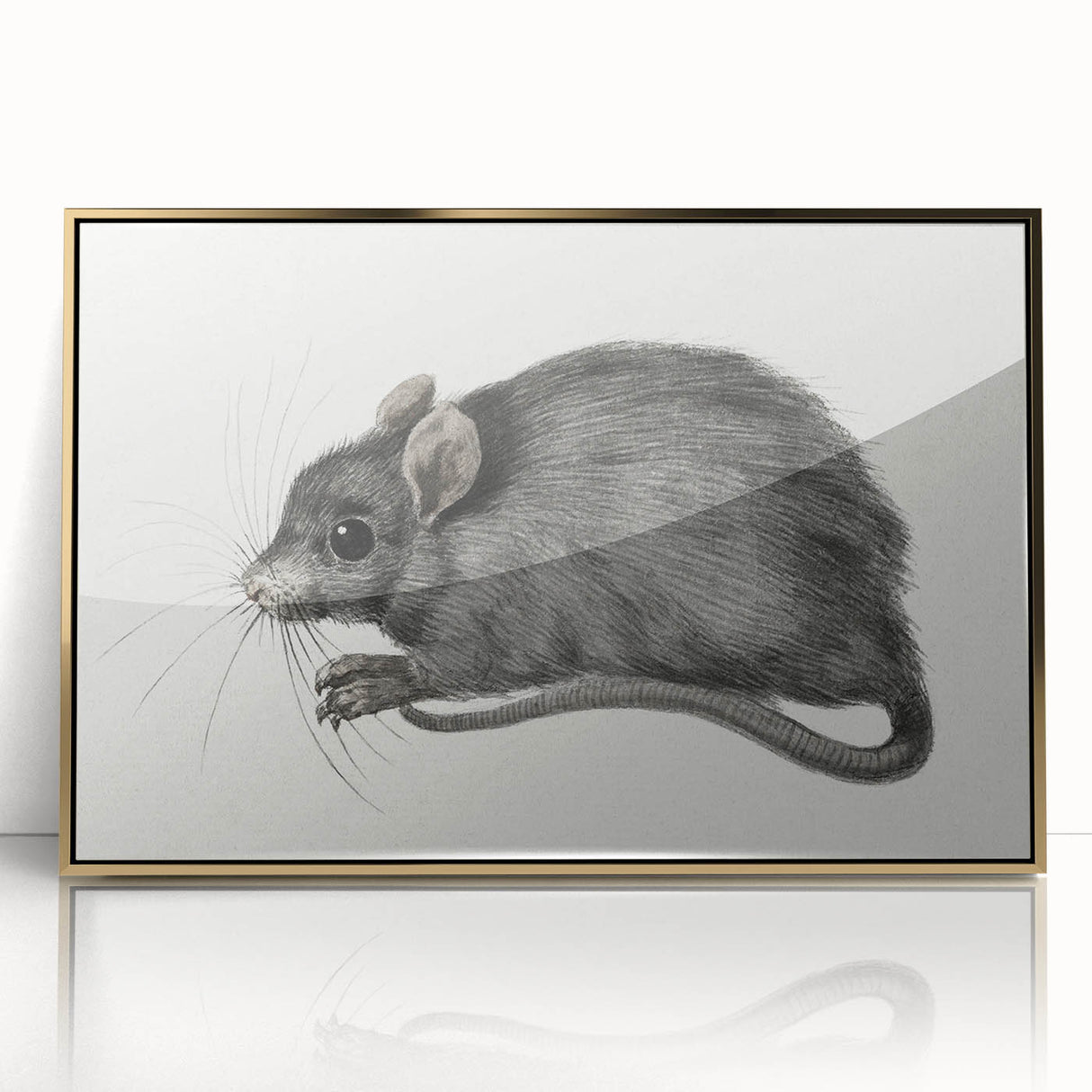 Gothic Wall Art - Vintage Mouse Illustration on Medieval Gothic Canvas