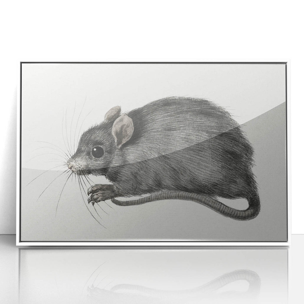 Gothic Wall Art - Vintage Mouse Illustration on Medieval Gothic Canvas