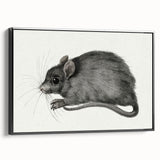 Gothic Wall Art - Vintage Mouse Illustration on Medieval Gothic Canvas