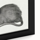 Gothic Wall Art - Vintage Mouse Illustration on Medieval Gothic Canvas