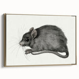Gothic Wall Art - Vintage Mouse Illustration on Medieval Gothic Canvas