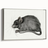 Gothic Wall Art - Vintage Mouse Illustration on Medieval Gothic Canvas