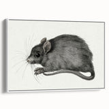Gothic Wall Art - Vintage Mouse Illustration on Medieval Gothic Canvas