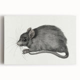 Gothic Wall Art - Vintage Mouse Illustration on Medieval Gothic Canvas