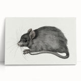 Gothic Wall Art - Vintage Mouse Illustration on Medieval Gothic Canvas